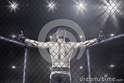 Mma fighter in arena celebrating win, behind view Stock Photo