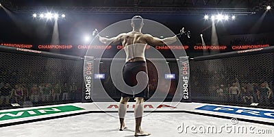 Mma fighter in arena greeting the spectators, rear view Stock Photo