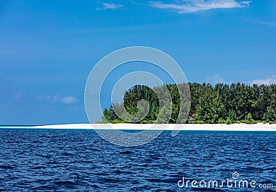 Mnemba Unguja Zanzibar Island Tanzania East Africa Stock Photo