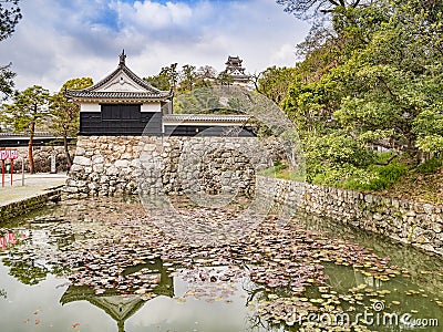 Kochi Castle, Japan Stock Photo