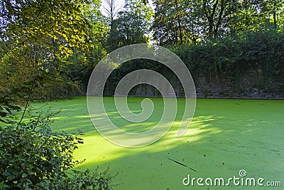 Moat overgrown with duckweed at the wall of the old fortress Stock Photo