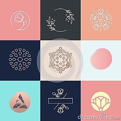 Set of business beauty nature logo design vector Vector Illustration