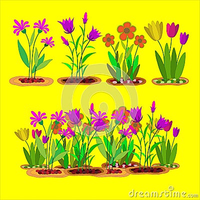 Flower bloom Vector Illustration