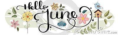 Hello June. June month vector decoration with flowers, bird house and leaves. Illustration month June Vector Illustration