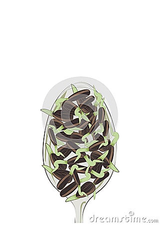 Microgreen. Sprouted seeds in a spoon. Close-up. Vector Illustration