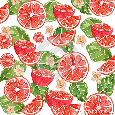 Vector Watercolor Fruit Blood Orange Surface Pattern Vector Illustration