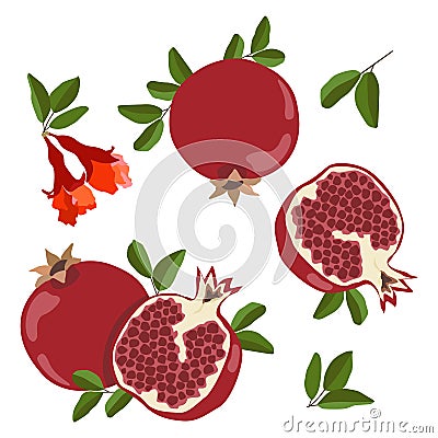 pomegranates. Set of fresh whole, half, sliced â€‹â€‹pomegranate fruits, flowers, leaves isolated on a white background. Vector Illustration