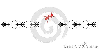 Ants marching or walking and one changing direction. Think differently. Different, unique, leadership, change, new idea, new path Vector Illustration