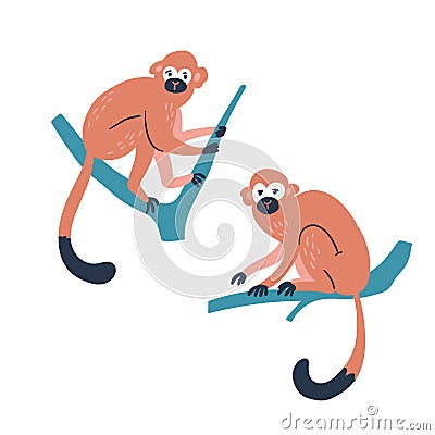 Cute squirrel monkey isolated on the white background. Tropical animal set. Vector Illustration