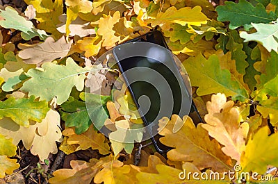 Mobile phone and yellow autumn leaves Stock Photo