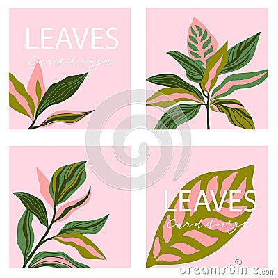 Set of four square card template. Universal trend posters with bright tropical leaves foliage on the pink background. Stock Photo