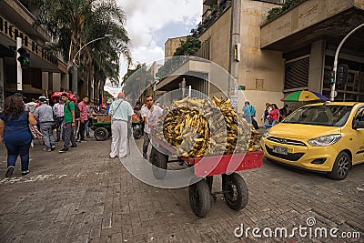 Mobile vendor pushing a cart full of bananas Editorial Stock Photo