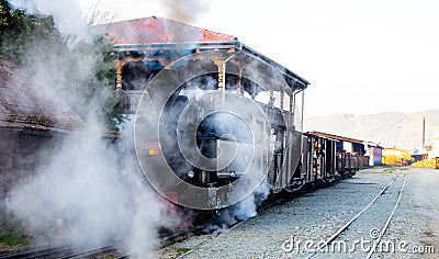 Mocanita steam train for tourists. Editorial Stock Photo