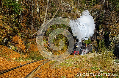 Mocanita steam train from Valea Vaserului, near Viseu de Sus village, Maramures, Romania Stock Photo
