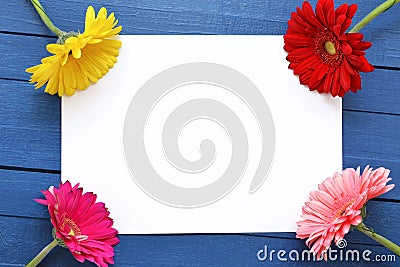 Mock up artwork for celebration, drawing and text on a blue wooden background with four colored flowers gerberas.Flat Stock Photo