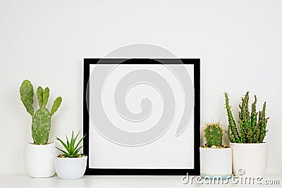 Mock up black square frame with potted cacti and succulent plants on a shelf against a white wall Stock Photo