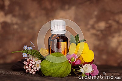 Mockup dropper bottle. Bach therapy, concept. Natural Remedies Stock Photo