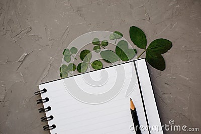 Mock-up with clean notepad and clover leaves, top view. Flat lay composition of blank notebook and pencil, copy space Stock Photo