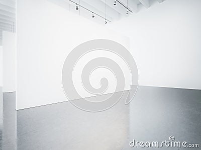 Mock up of empty white gallery interior. 3d render Stock Photo