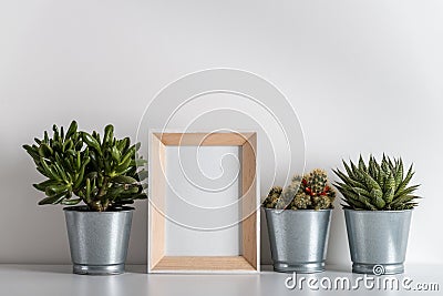 Mock up made from photo frame in scandinavian minimalist interior with succulents Stock Photo