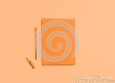 Mock up, orange color notebook Stock Photo