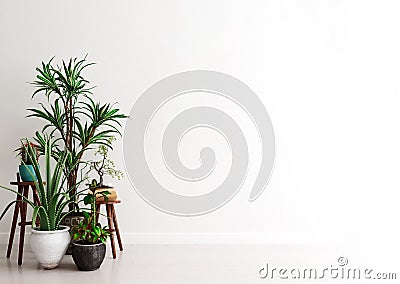 Mock up wall with group of potted house plants in modern interior background, moment for contemplation, Scandinavian style Cartoon Illustration