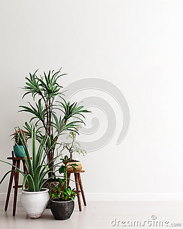 Mock up wall with group of potted house plants in modern interior background, moment for contemplation, Scandinavian style Cartoon Illustration