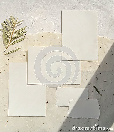 Mock up. Wedding, holiday, birthday invitation card on soft beige nude craft paper with ragged edge. Trendy sunshine and shadow Stock Photo