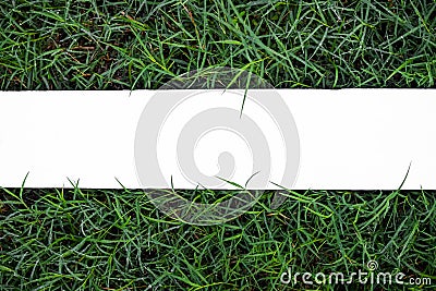 Mock up white wooden on green grass plant garden outdoor. Stock Photo