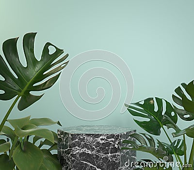 Mockup Black Marble Podium With Monstera Tropic Plants On Mint Background 3d Render Stock Photo