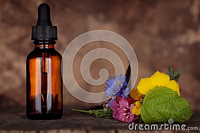 Mock-up dropper bottle. BACH therapy, concept. Natural Remedies Aromatherapy. Copy space Stock Photo