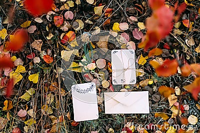 Mockup of brochure or bridal card against autumn foliage with empty place for text Stock Photo