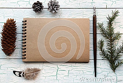 Mockup concept with feather and pine cones Stock Photo