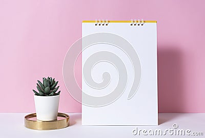 Mockup paper spiral calendar with cactus on pink background Stock Photo