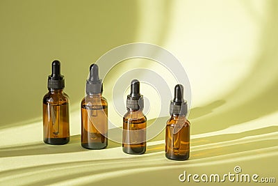 Mockups of four bottles with dropper lids lined up in row in rays of sunlight. Hard shadow from objects falls on green Stock Photo