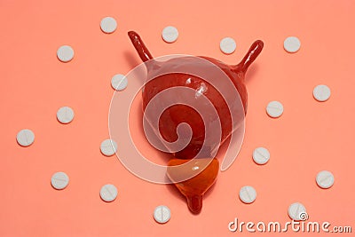 A model of a bladder with a prostate on a beige background or flesh color surrounded by white tablets. Photo treatment of inflamma Stock Photo