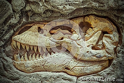 Model Dinosaur fossil, Dinosaurs are a diverse group of reptiles of the clade Dinosauria. Stock Photo