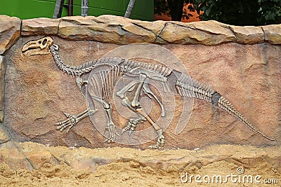 Model Dinosaur fossil on the wall Stock Photo