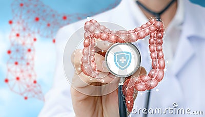 Model of the intestine and the doctor . Stock Photo