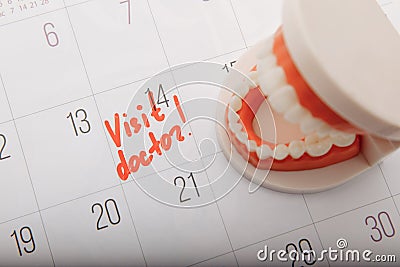 Model of jaw on calendar with mark. Healthcare concept Stock Photo