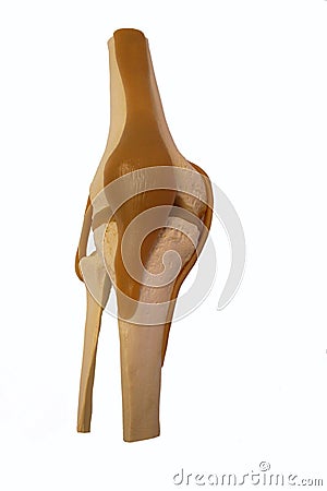 Model knee Stock Photo