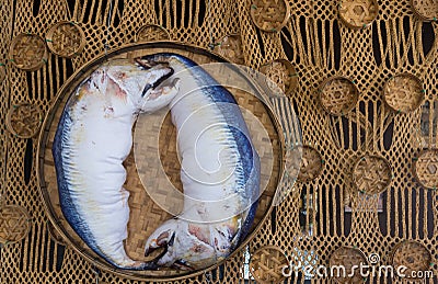 A model of mackerel inside a container made of bamboo. Stock Photo