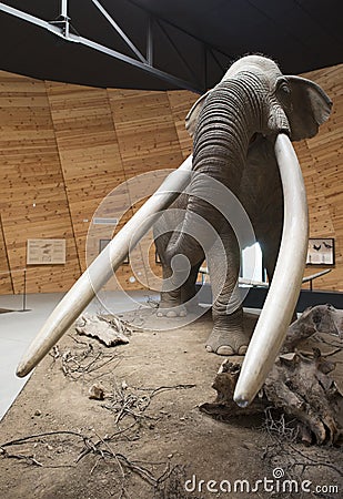 Model of mastodon Editorial Stock Photo