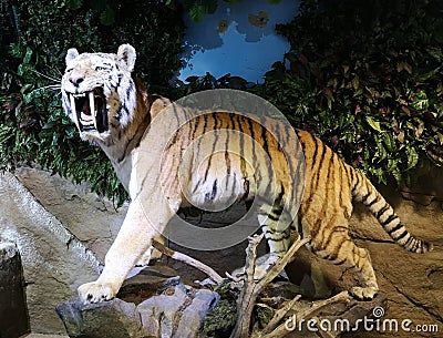 Model of a saber-toothed tiger. Editorial Stock Photo