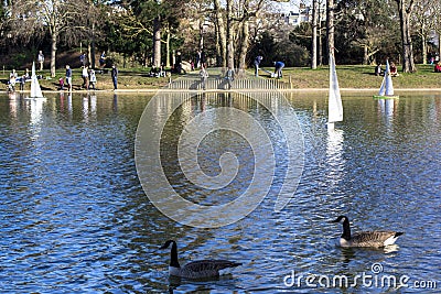 Model sailboats in a pond in a park in Paris. Birds fly, parents walk with children, geese in a pond Stock Photo