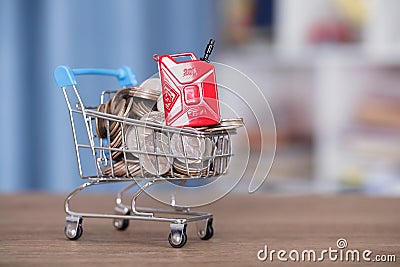 A model of a shopping cart and gasoline barrel filled with dollar coins Stock Photo
