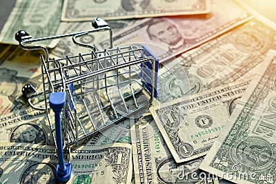 Model shopping cart on money dollars, Concept think before use. Stock Photo