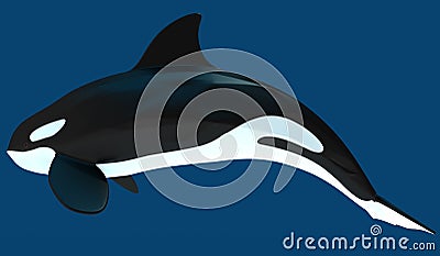 A model of a stylized killer whale. 3D illustration. Cartoon Illustration