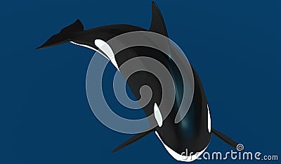 A model of a stylized killer whale. 3D illustration. Cartoon Illustration