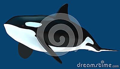 A model of a stylized killer whale. 3D illustration. Cartoon Illustration